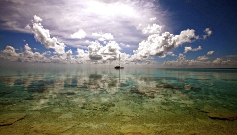 In The South Pacific