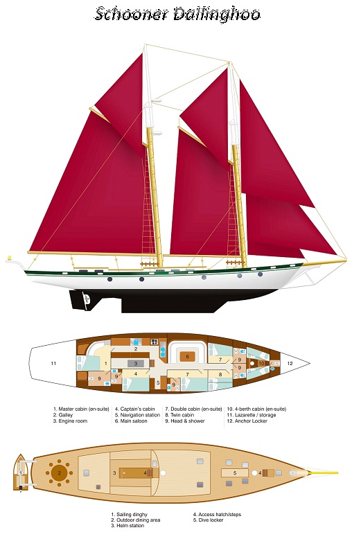 Schooner Dallinghoo - Layout