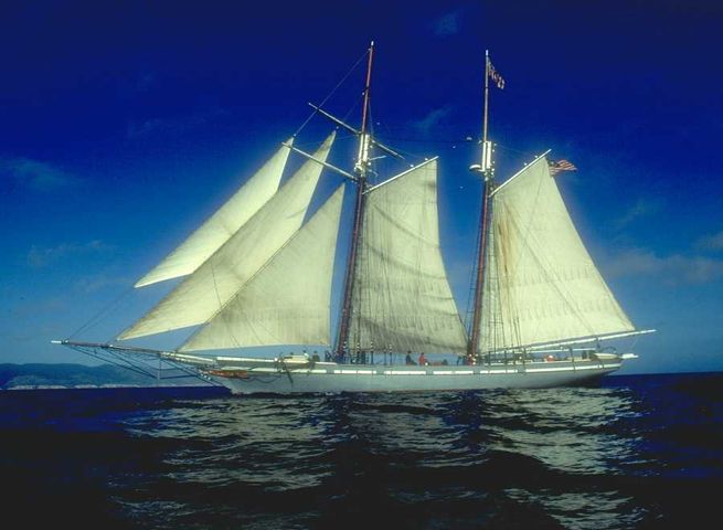 Vuyk & Zonen Scheepswerven