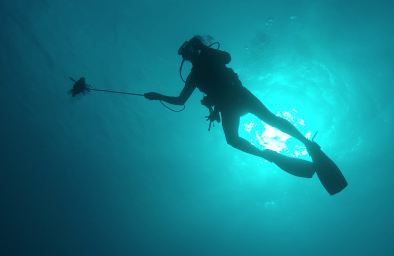 Scuba Diving