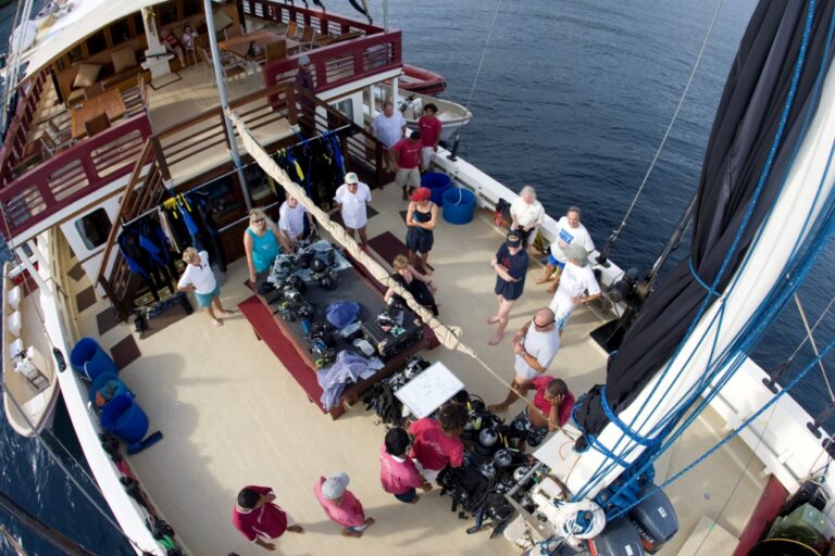 Seven Seas Dive Deck