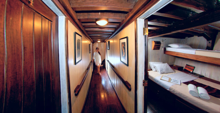 Seven Seas DownStairs