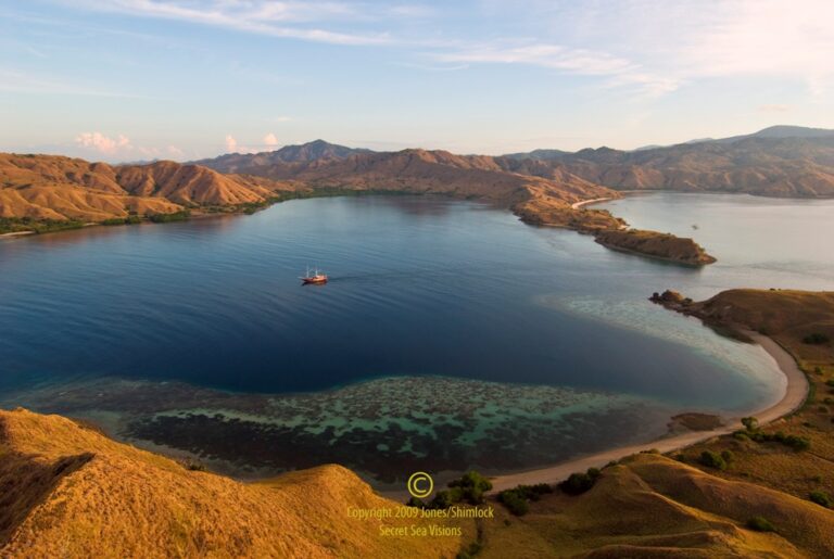 Seven Seas View