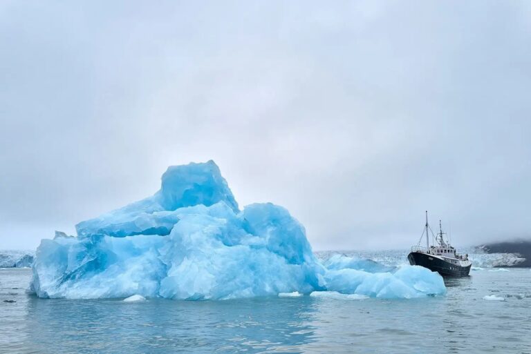 TOGO Available In Svalbard And Greenland