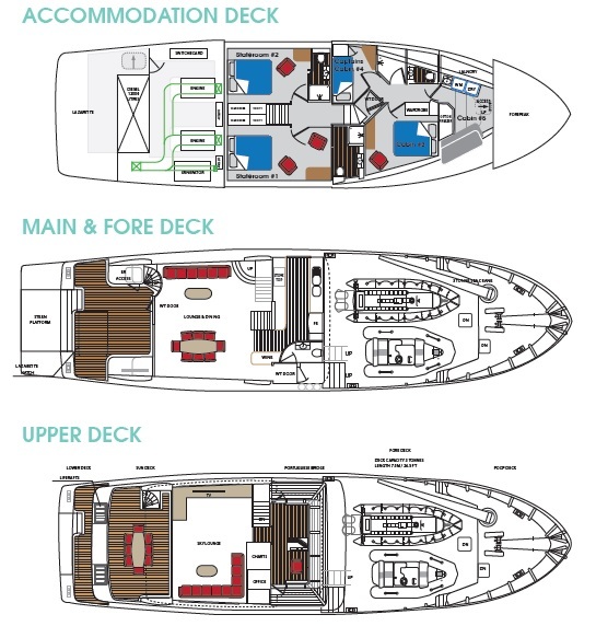 Layout