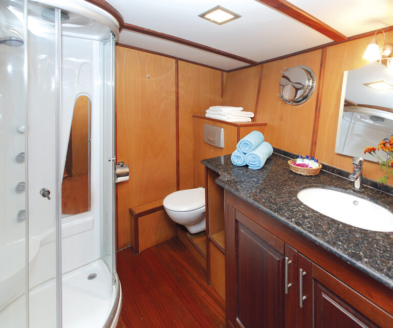 Yacht SARAYLI I - Guest Ensuite