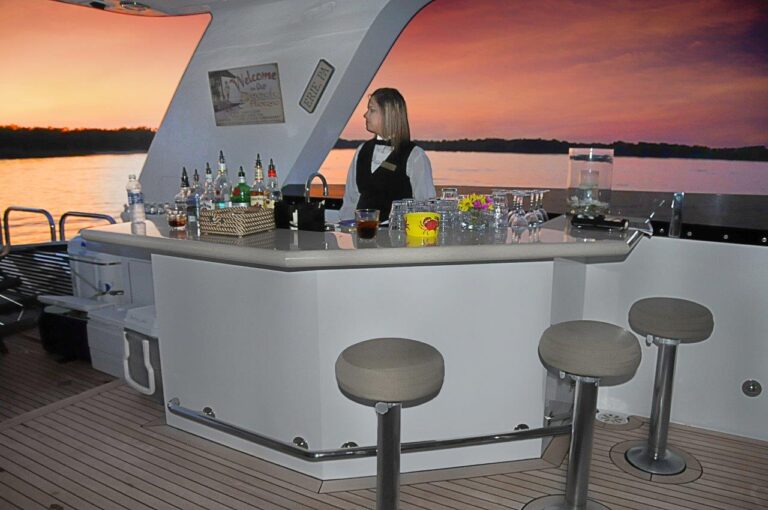 Yacht SCOTT FREE - Flybridge Bar