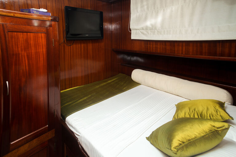 Bedroom With Tv