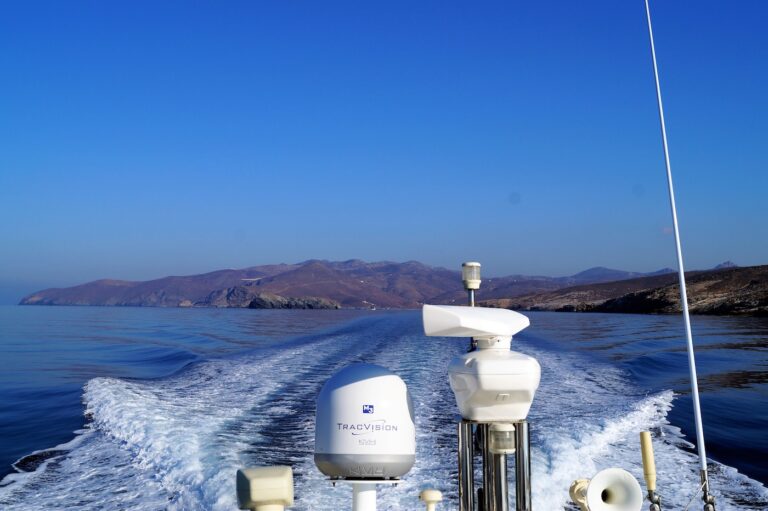 Cruising Photo