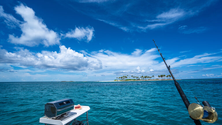 Fishing And Barbecue