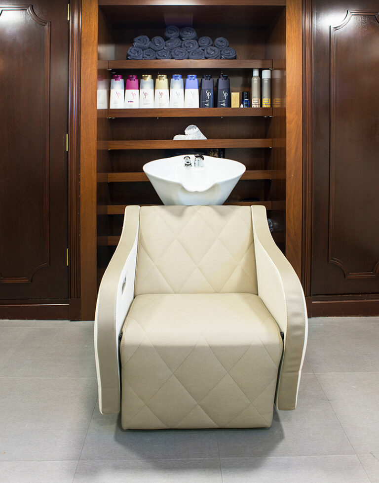 Hair Saloon Chair