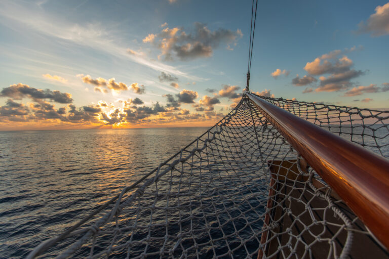 Net Detail