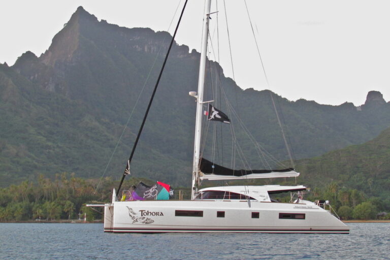 Profile Of TOHORA