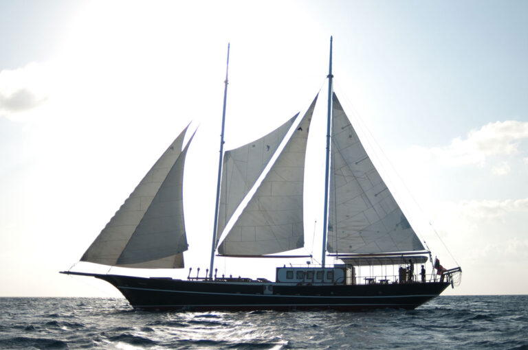 Sailing Dream Voyager