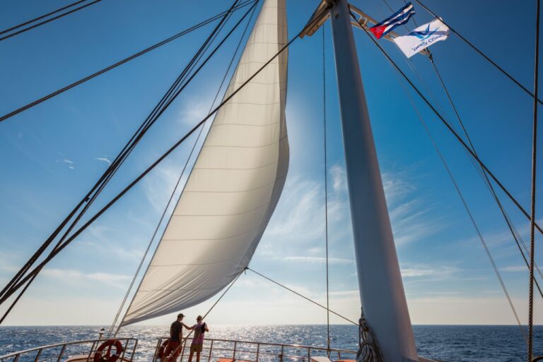 Sails Up