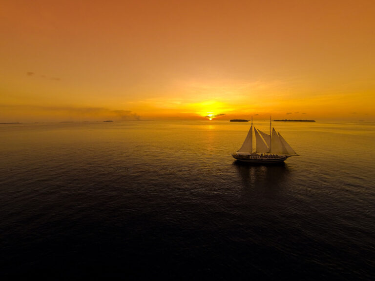 Sunset View