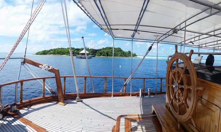 View From Deck