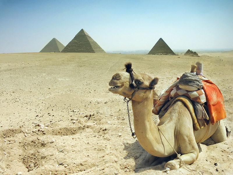 Camel Rides In Giza - Photo  credit to Egypt Tourism Board  
