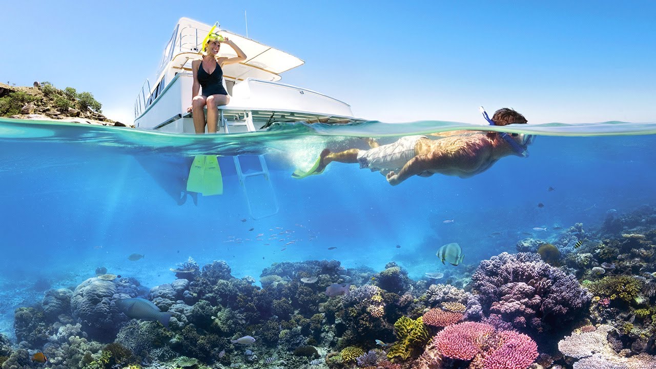 Florida Keys Snorkeling