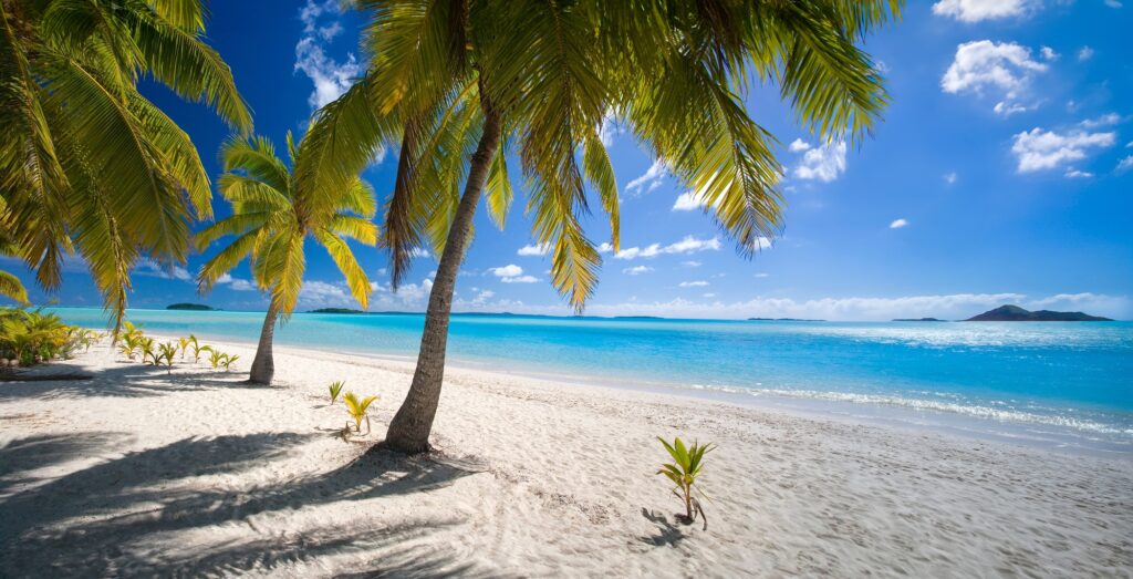 THE SOUTH PACIFIC