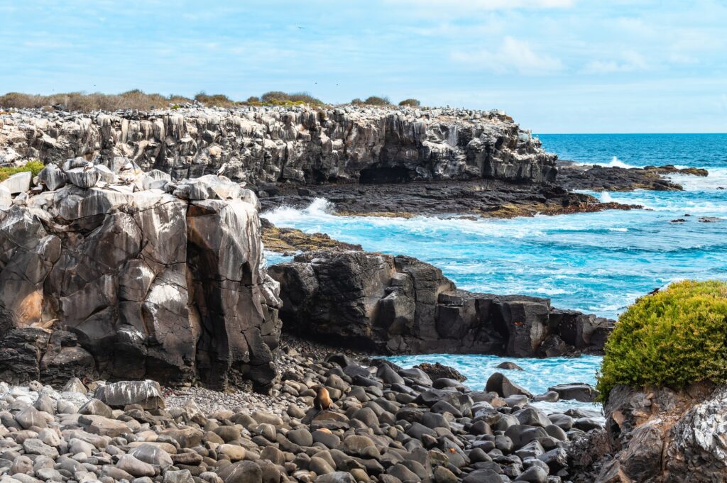 Galapagos