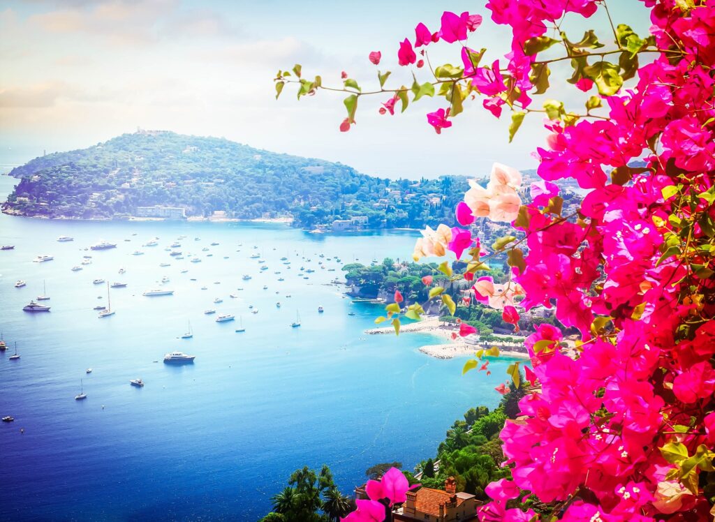 Western Mediterranean