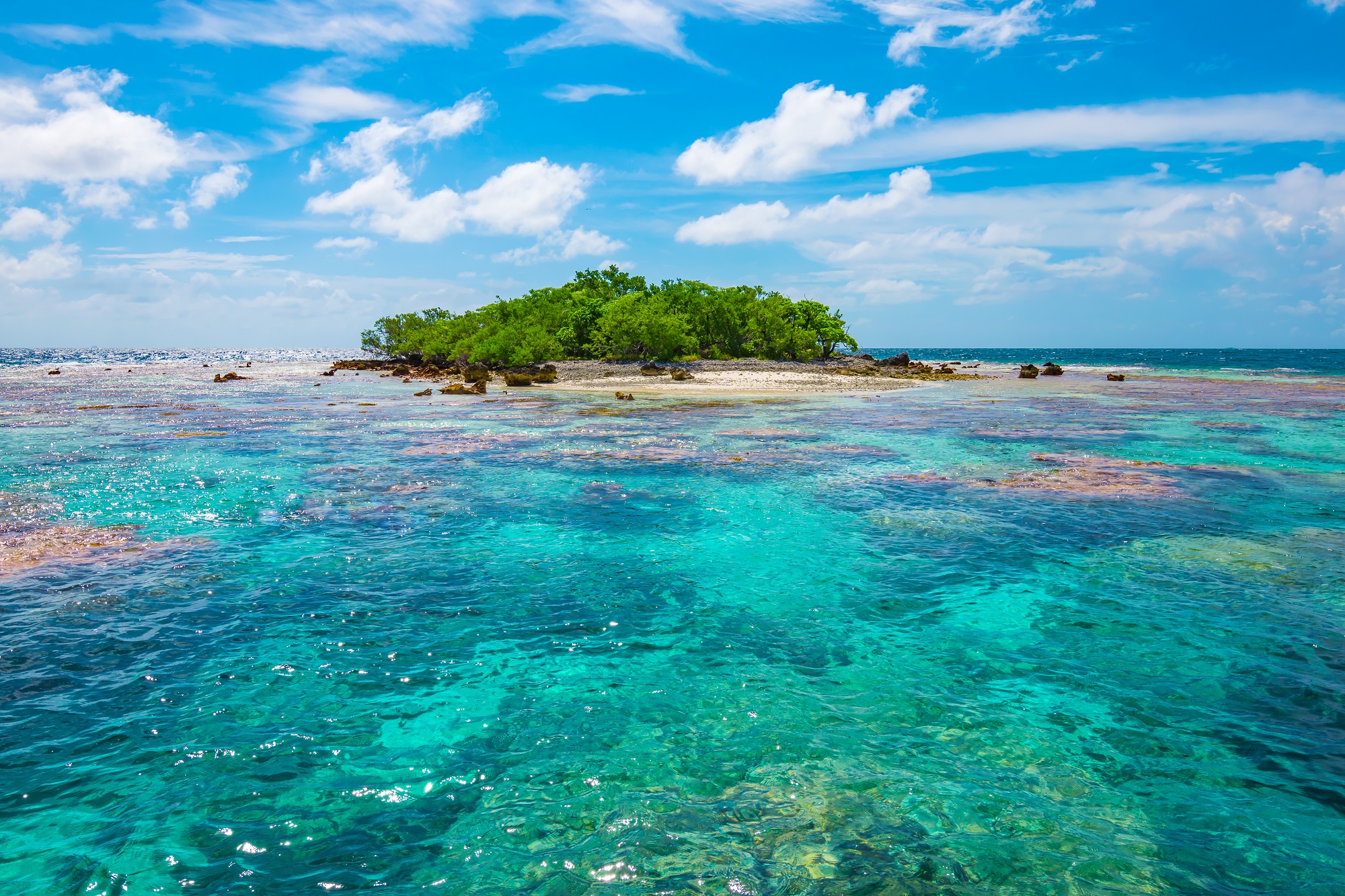 Fakarava | Tuamotu Archipelago | French,Polynesia