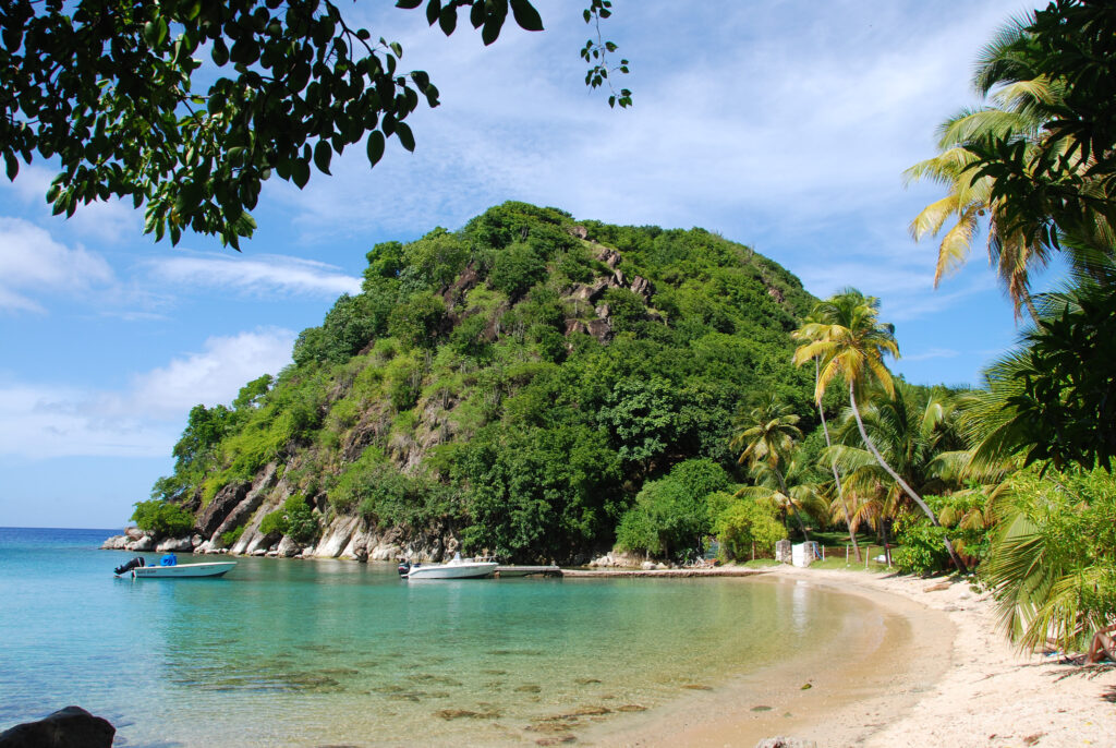 The French West Indies