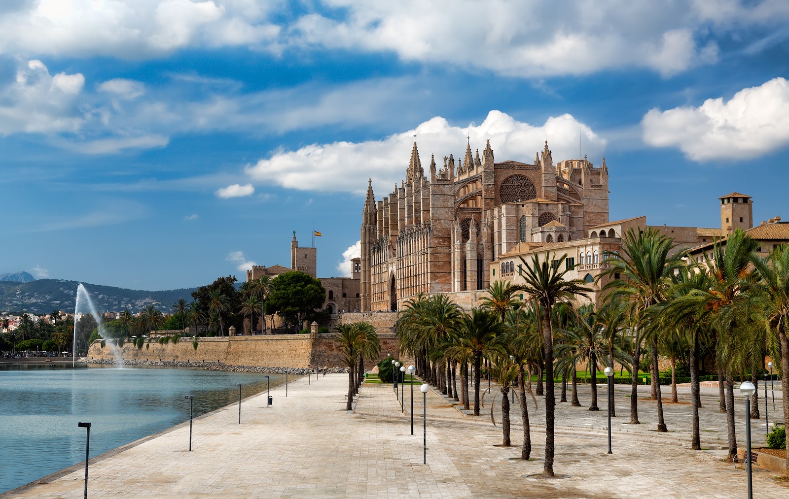 Palma