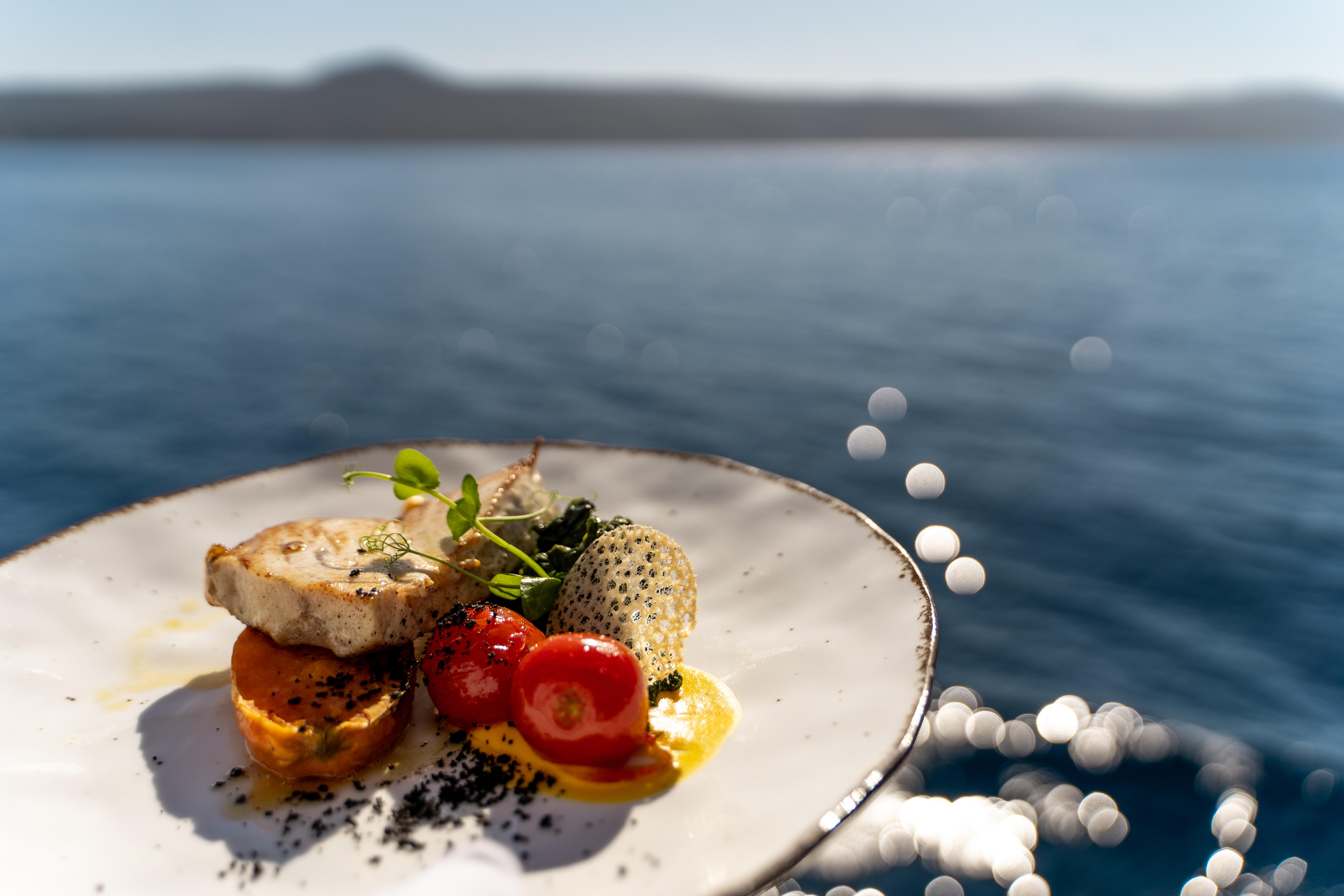 [MOTOR-YACHT-DESIRE]-12190-41.jpg