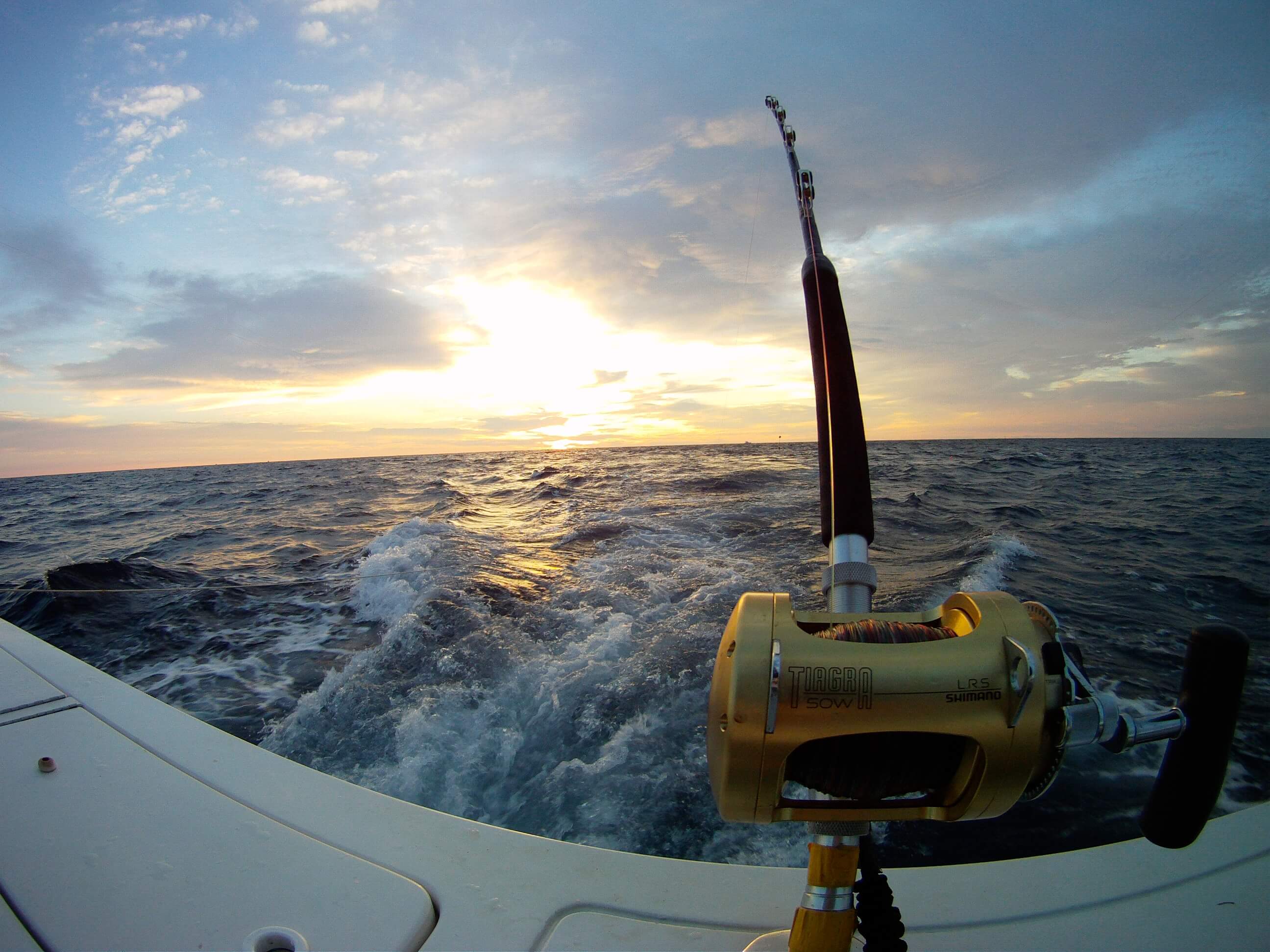 [MOTOR-YACHT-TRENDING-EX-VANGO]-10486-61.jpg