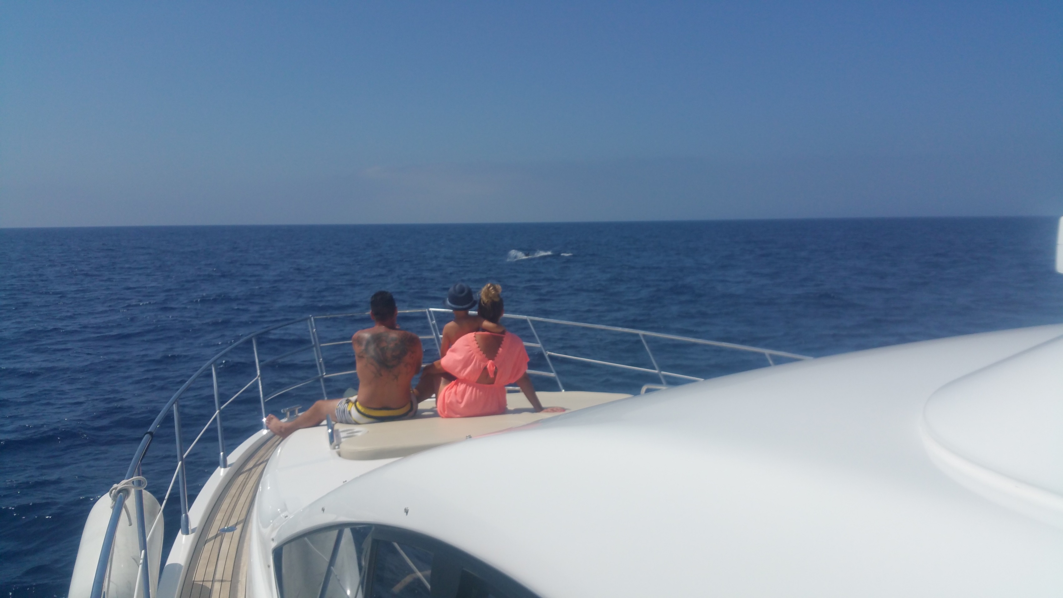 20180824_122657.jpg