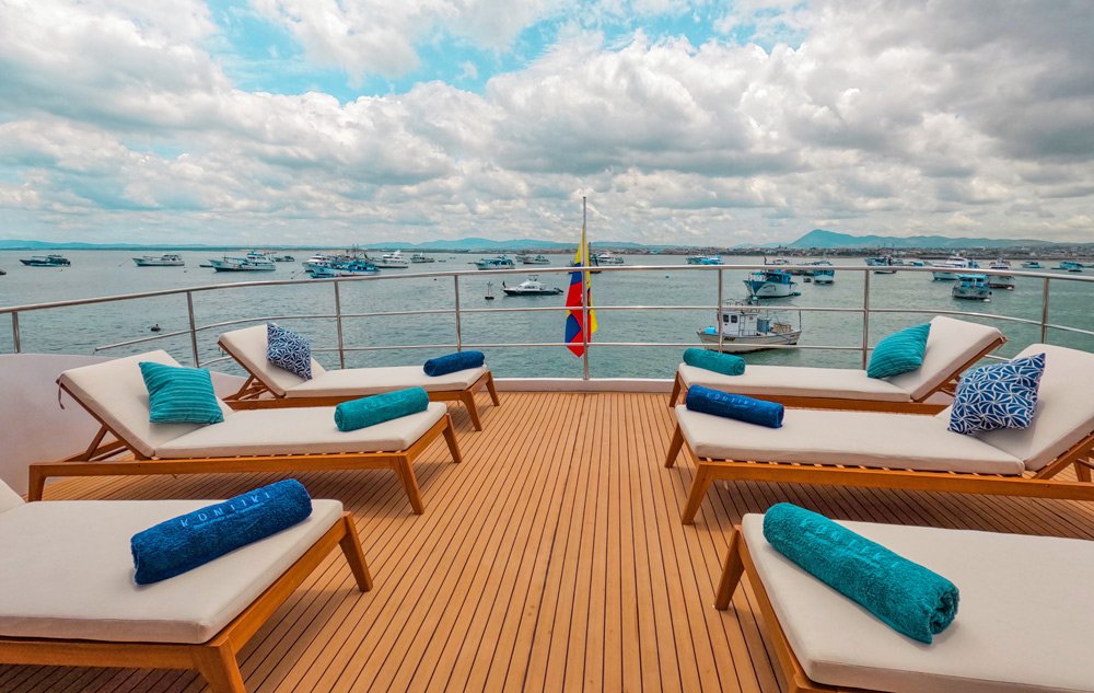 203 Sun loungers.jpg