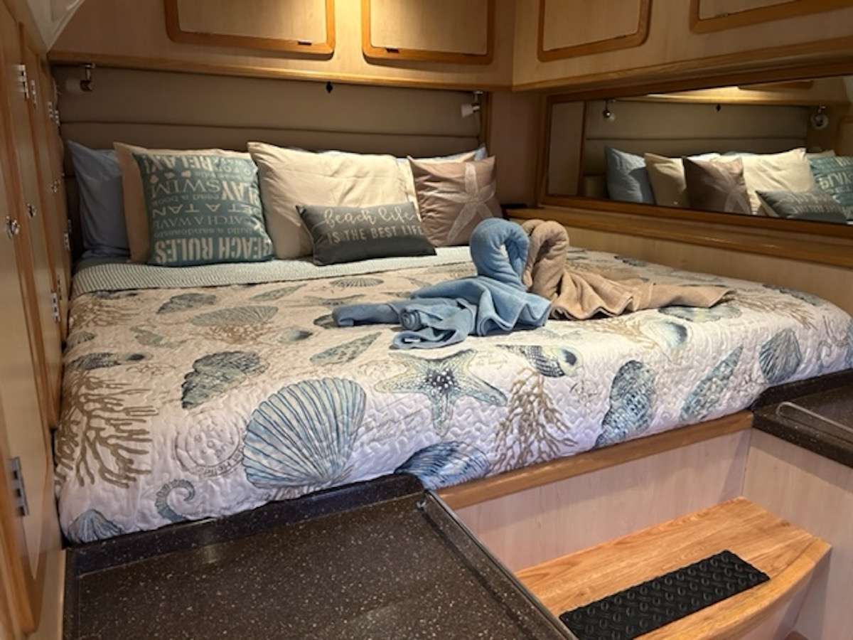 302 Sailing Catamaran MANNA Master Cabin.jpg