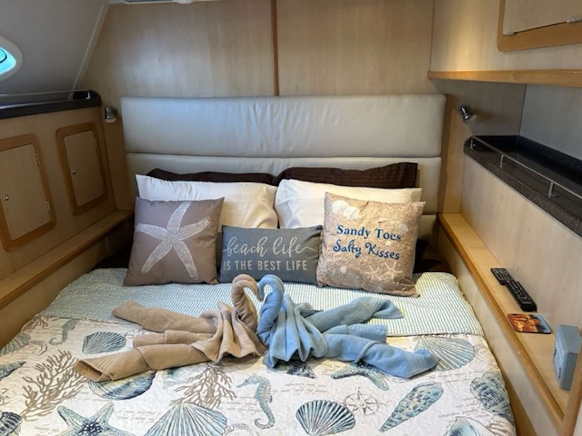 303 Sailing Catamaran MANNA Cabin 1.jpg