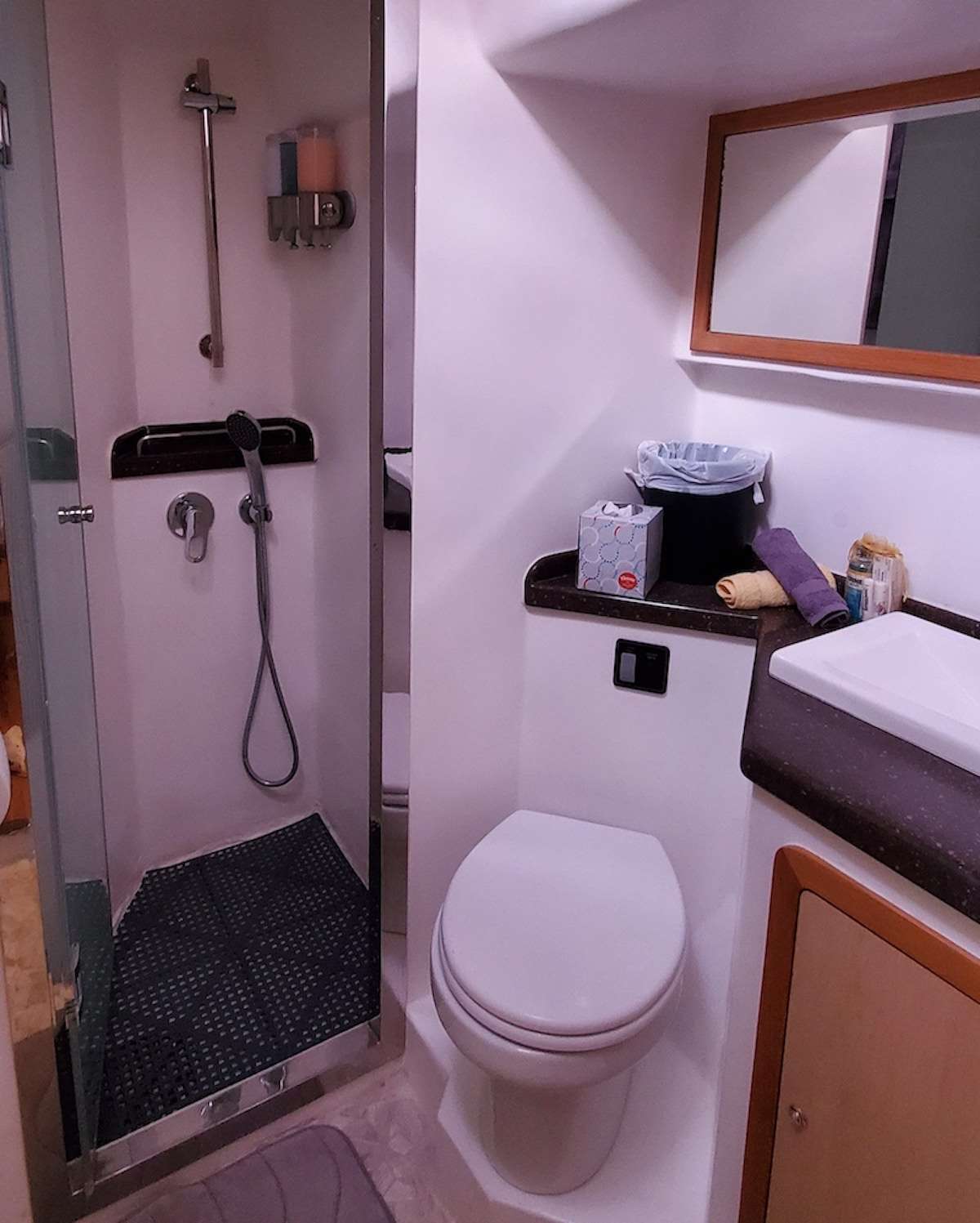 306 Sailing Catamaran MANNA En Suite.jpg