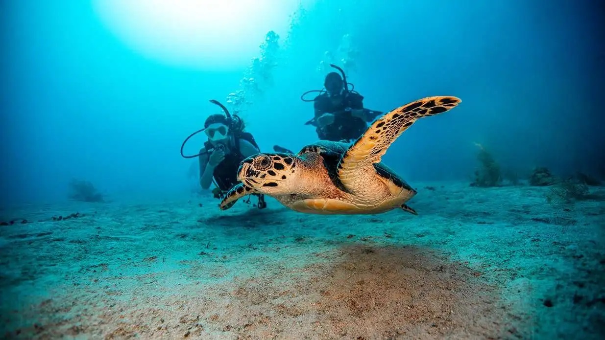 501 PADI diving on board.jpg