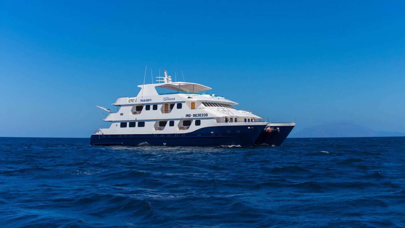 Cormorant catamaran yacht.jpg