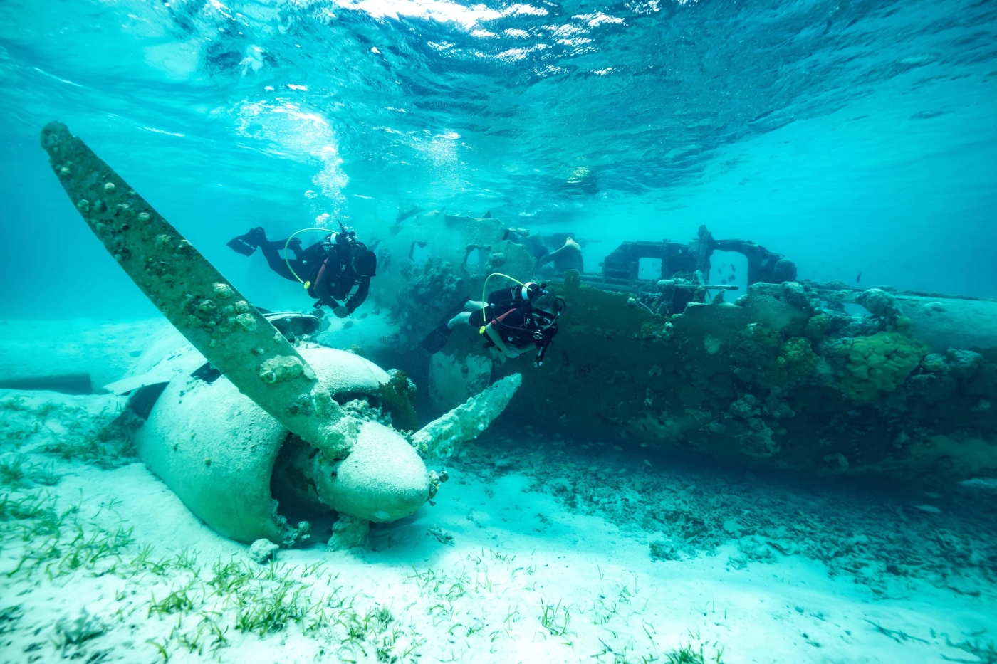 Diving Area.jpg