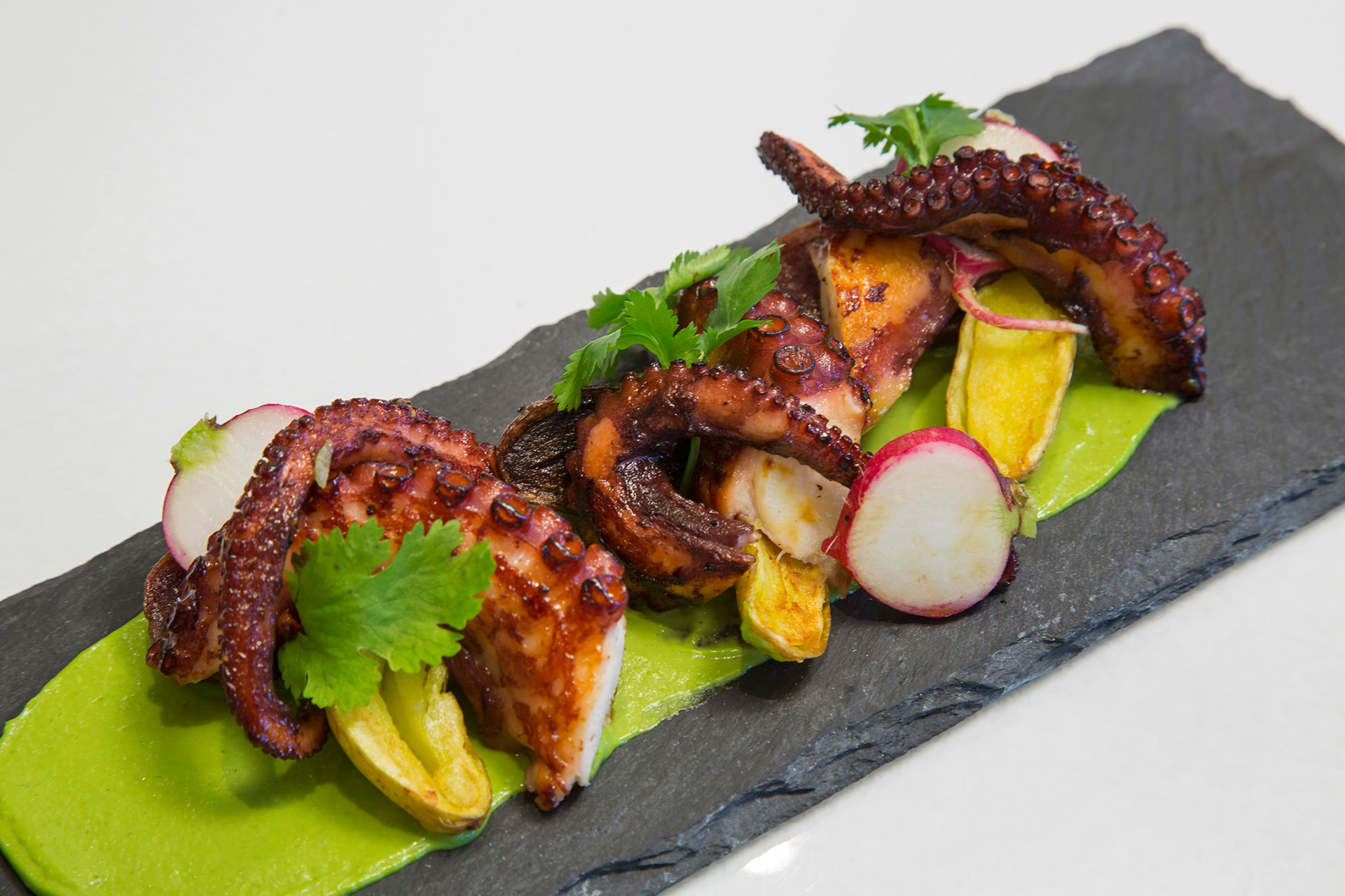 Octopus.jpg
