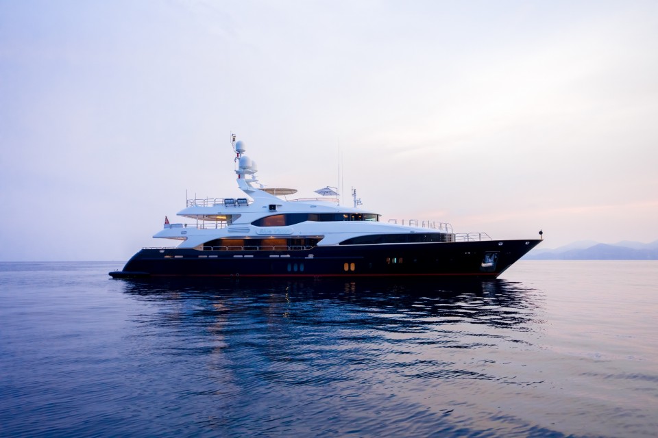 Profile of BLUE VISION.jpg