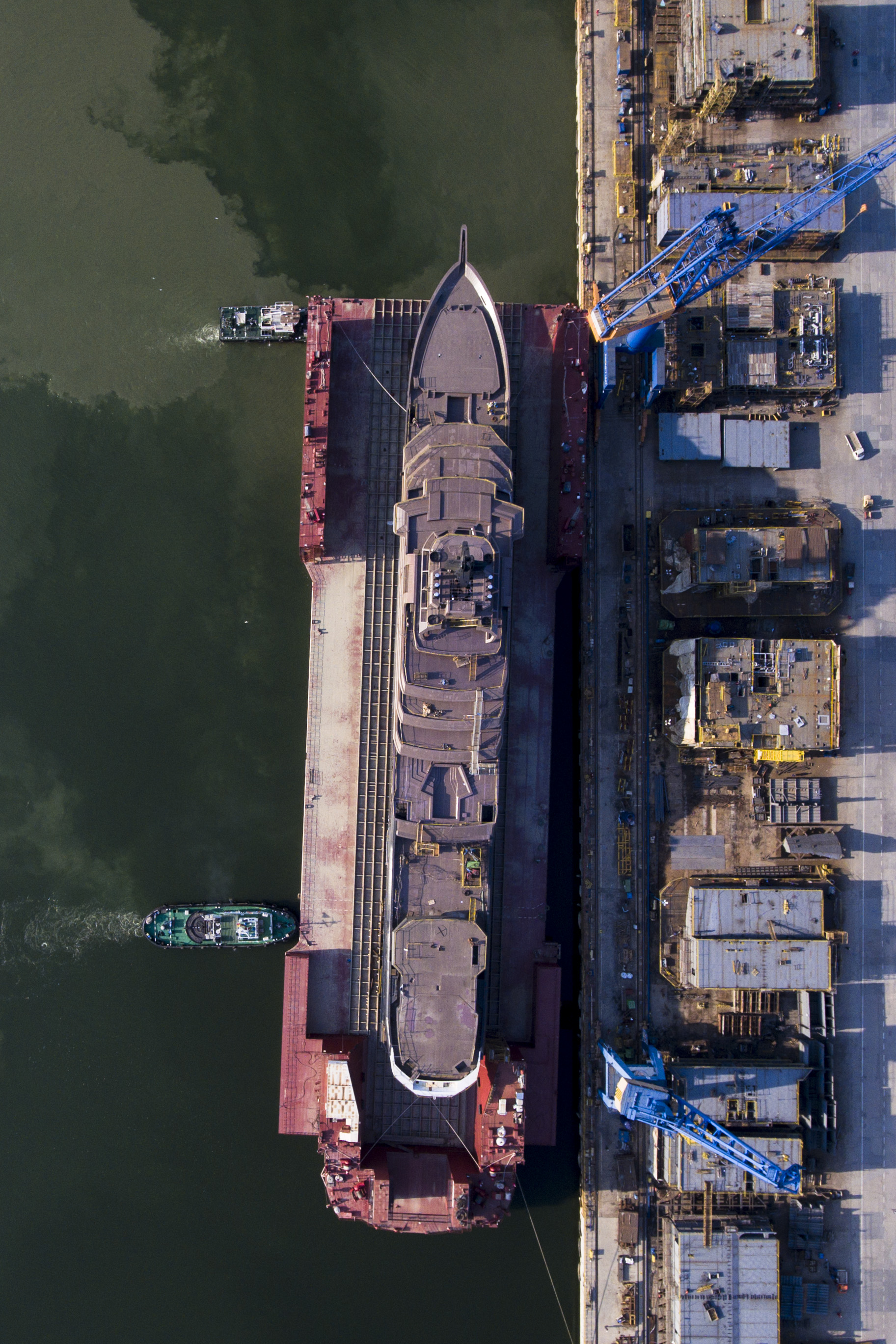 Top view. Photo credit Bogdan Vasilescu.jpg