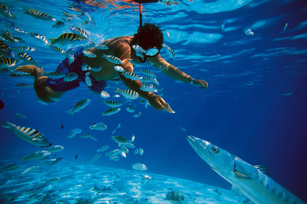 Yacht Amandine - Jeanneau 64 Snorkeling Baracuda.jpg