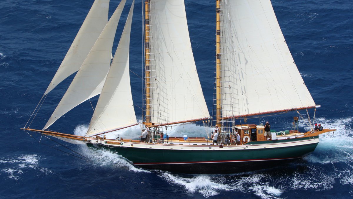 Yacht TREE OF LIFE.jpg
