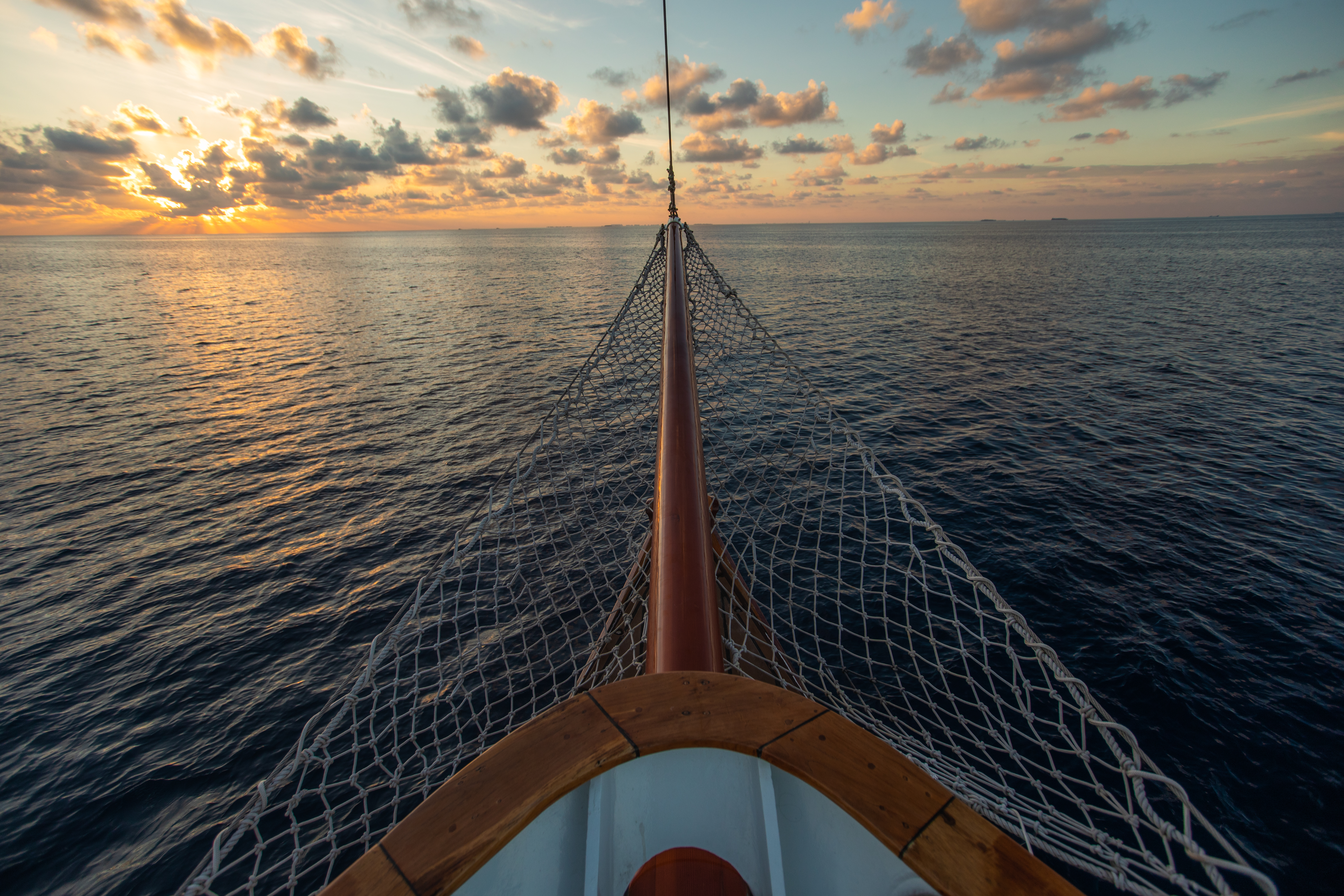bow nets.jpg