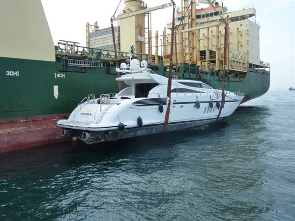 first-leopard-in-hong-kong.jpg