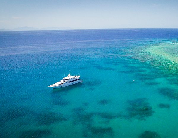 flying-fish-at-anchor-600x467.jpg