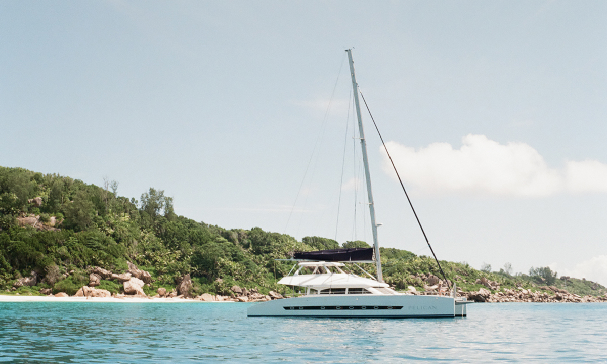 pelican seychelles.jpg