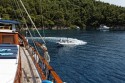 perla-9b-125x83.jpg