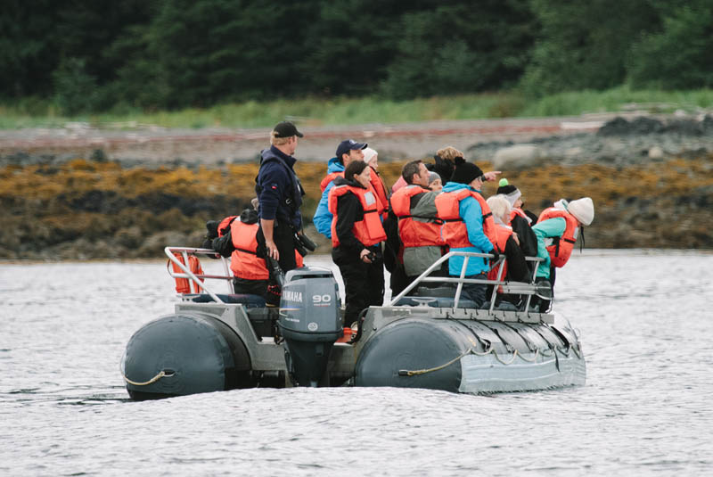 safari_alaska2.jpg